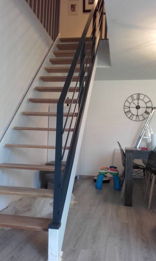 Rs Inox Agenceur Metallerie Rennes RELOOKAGE ESCALIER 2